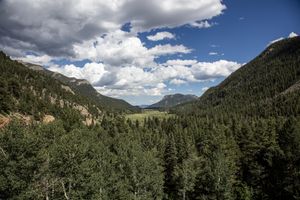 폴 리버 로드에서 바라본 풍경은 숲이 우거진 경사면과 그 사이의 초원이 있는 몬테인 생태계를 보여준다.
