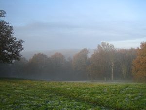 볼드윈스 힐에서 바라본 에핑 숲