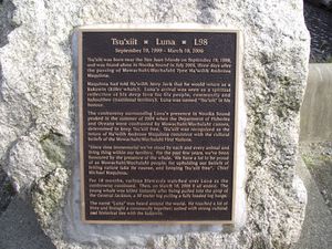 루나를 기념하는 누차라트 만의 명판