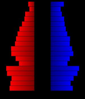 2000년 인구 조사 당시 루이스군의 인구 피라미드