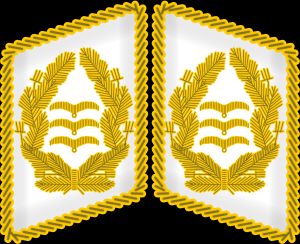 공군 장성 금장