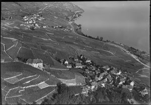 항공 사진, 전경의 리에 (1954)