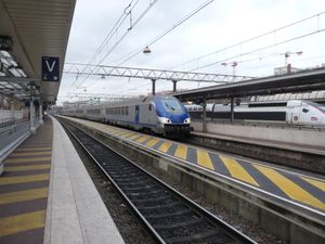 리옹-파르디유역 플랫폼