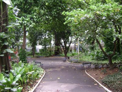 현재 마라카낭 캠퍼스 내부의 나무는 킨타 다 보아 비스타의 제국 정원의 확장이었다.