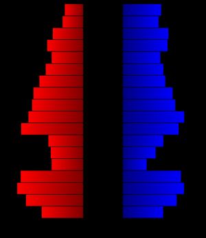 2000년 인구 조사 당시의 리처드슨군의 인구 피라미드