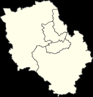 1993년부터 2014년까지 리즈번 구의 선거구(DEA) 지도