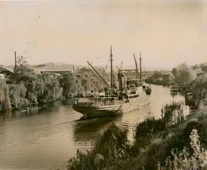 리즈모어의 리치몬드 강(현재 윌슨 강)에 정박한 대형 선박 (?S.S. 와이라)으로, 20세기 초중반으로 추정됨