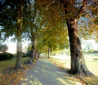 비컨 공원의 길