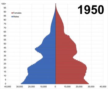 시간 경과에 따른 리투아니아의 인구 피라미드 변화