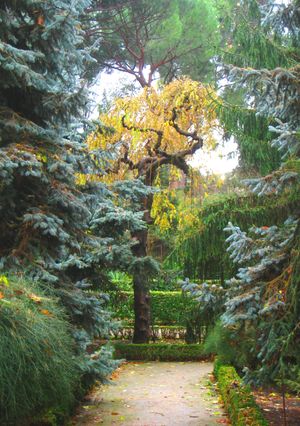 마드리드 왕립 식물원의 야외 정원 모습