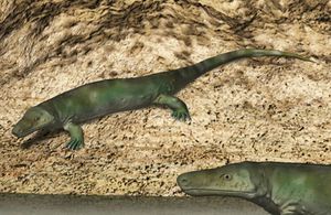 커틀러 지층의 엘 코브레 협곡 지층에서 발견된 두 마리의 L. paludis 복원도