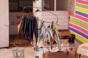 키르기스스탄에서 판매되는 말린 생선