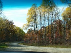 가을의 마리네트 군 숲