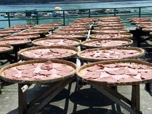 갑수이문 옆, 마완에서 햇볕에 말리는 새우젓.