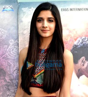 2016년 행사에서 호칸