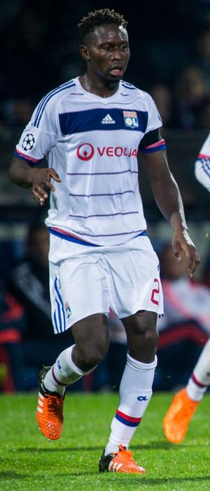 2015년 리옹에서 활동하는 양가음비와