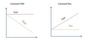 일정 TMP 및 일정 플럭스 작동 모드 비교. 일정 TMP에서는 플럭스가 감소하고, 일정 플럭스에서는 TMP가 증가한다.