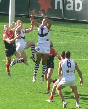 2008년 멜버른과의 경기에서 마크를 시도하는 패블리치