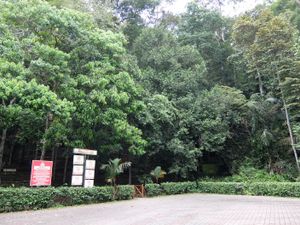 조호르주의 소가 페르다나 레크리에이션 숲