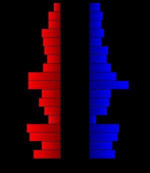 2000년 시점의 군의 인구 피라미드