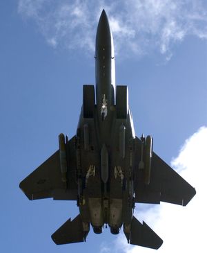 착륙 장치가 내려진 F-15E 스트라이크 이글의 하부 뷰