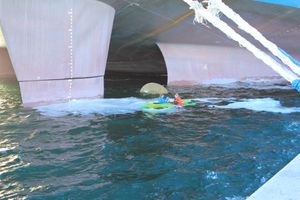 카약커들이 메르스크 매제스틱의 트윈 스케그 선미 아래에서 노를 젓고 있다.