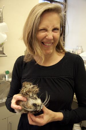 메리 로치(Mary Roach)와 고양이 머리, 2010