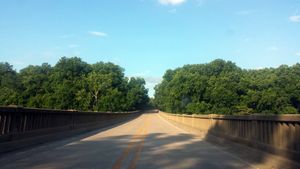 79번 고속도로는 역사적인 곡선 콘크리트 다리를 통해 화이트강 근처 습지를 지난다.