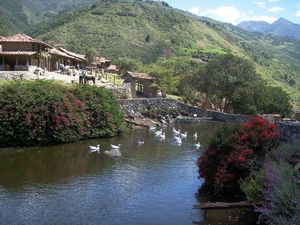 로스 알레로스, 메리다