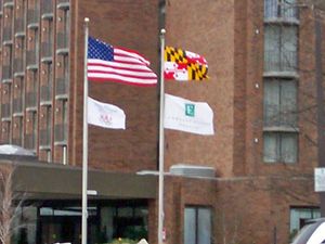 2008년 3월 미국 국기 옆에 게양된 메릴랜드 주 기.