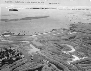 메리즈빌 금 채굴