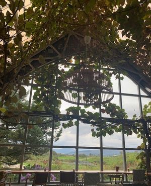 멀섬 치즈 카페 및 상점