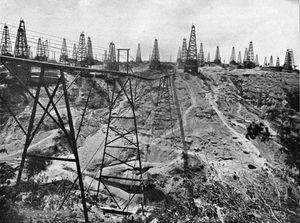 20세기 초 예낭야웅의 유정