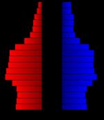 2000년 인구 조사에 따른 멀트노머 군의 인구 피라미드