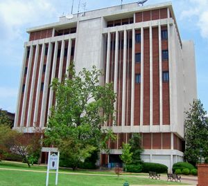 클라라 M. 이글 갤러리는 미술관 건물에 위치해 있습니다.