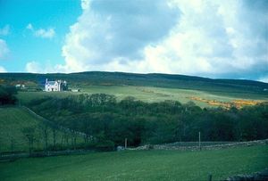 메인랜드는 대부분 나무가 없지만, 핀스턴의 빈스카스 숲을 비롯하여 커크월 등지에 숲이 있다.