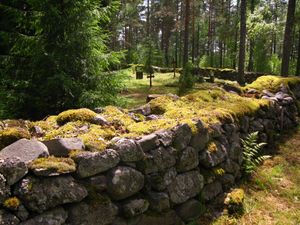 핀란드 파리칼라의 오래된 비에레비 묘지에 있는 이끼가 부분적으로 덮인 건식 담장