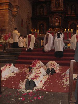 성인 호칭 기도는 일반적으로 서품식에서 서품 후보자들이 엎드릴 때 불린다.