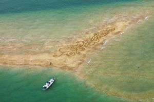 모래톱 위의 갈퀴 예술