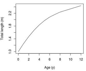북대서양 모래뱀상어의 성장 곡선