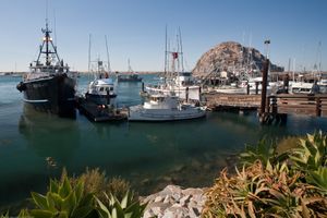 모로 베이 항구