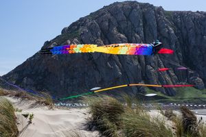 모로 베이 연 축제