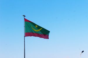 펄럭이는 모리타니 국기