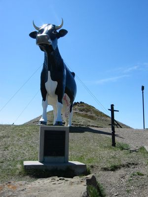 세일럼 수 (뉴세일럼)