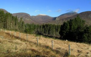 애널롱 우드에서 바라본 동쪽의 몬 산맥