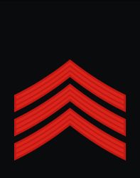 Mlađi vodnik 계급장