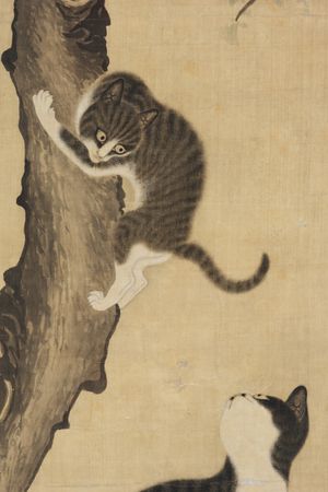 묘 (猫; 고양이)