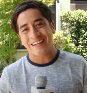 페르난도 고도이.