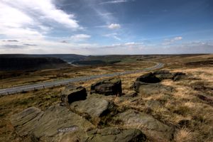 풀로 덮인 구릉