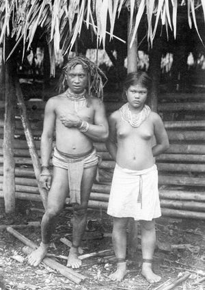 C.B. Niewenhuis의 사진 속 주민